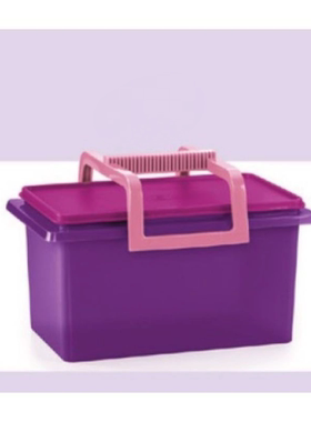 （海）5L手提方桶 干货冷藏干货 紫色进口代购