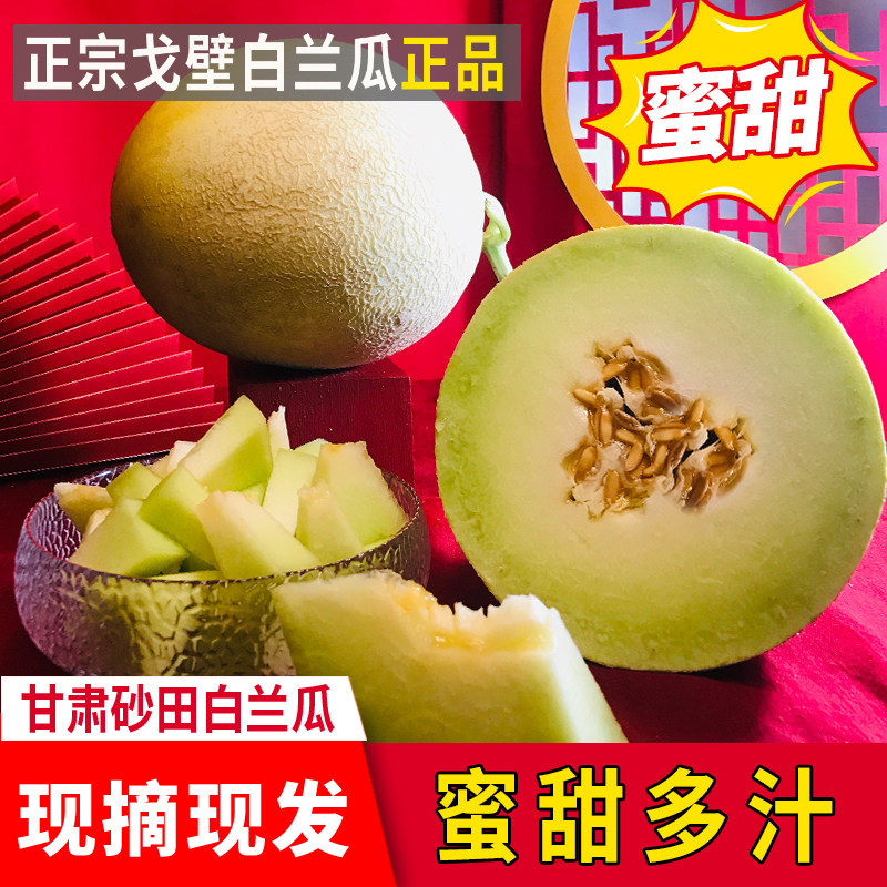 甘肃民勤银蒂白兰瓜网纹蜜瓜