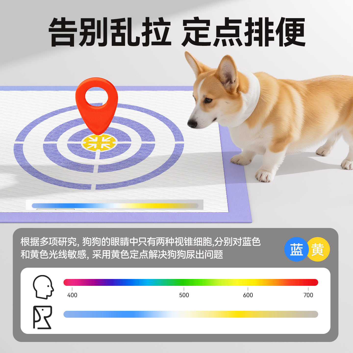 靶心厕所隔尿垫狗狗诱导引导用吸水可尿垫猫咪上定点宠物片粘加厚,宠物/宠物食品及用品,尿片/尿垫/护垫,淘宝优惠券,粉丝福利购,淘宝优惠卷