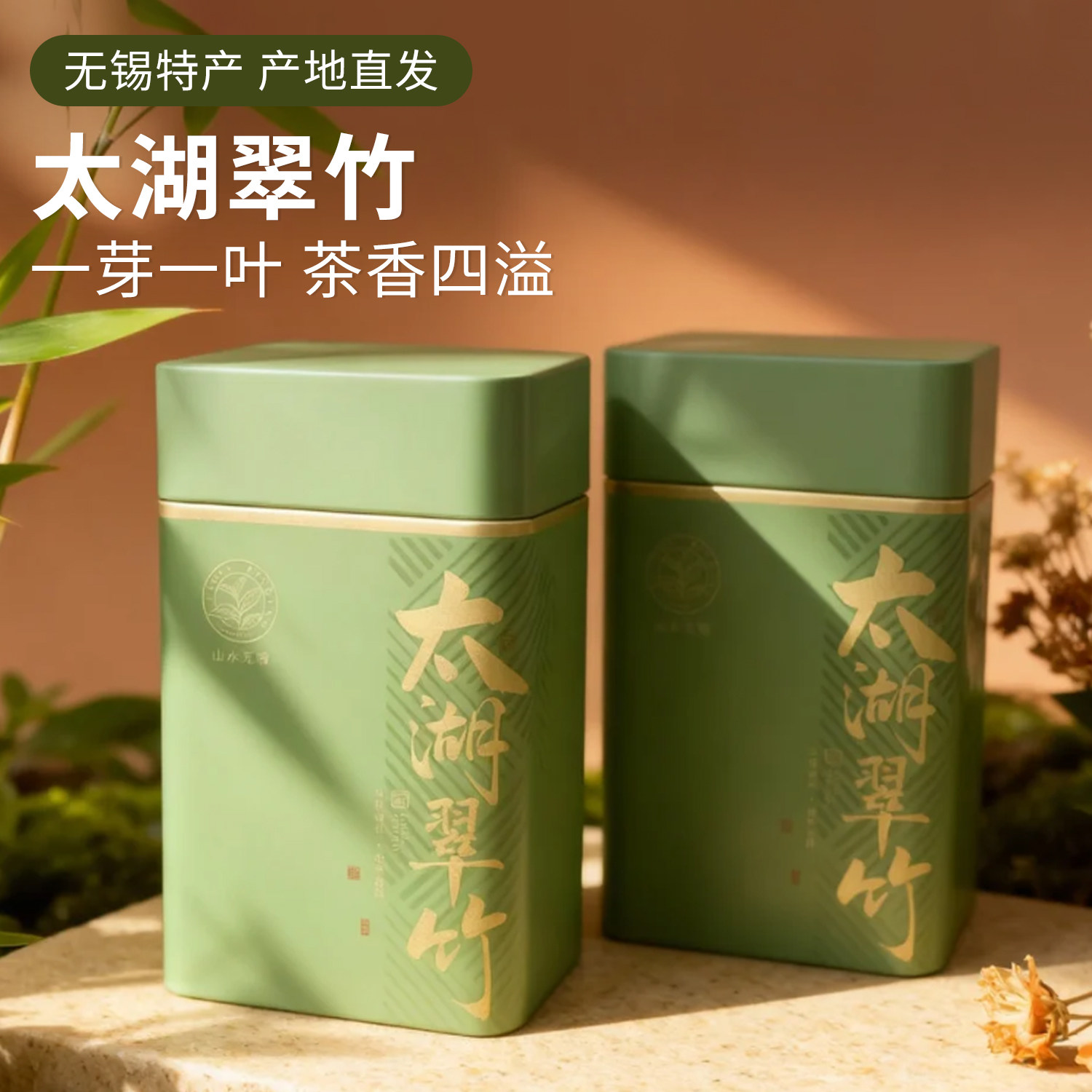太湖翠竹新茶无锡特产级明前清香型全芽绿茶口粮茶自己喝礼盒送礼