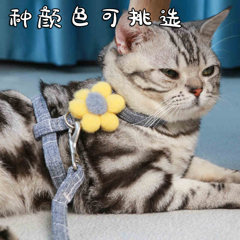 宠物牵引绳溜猫绳子猫咪专用可调节猫绳防挣脱家用牵引带猫牵引绳