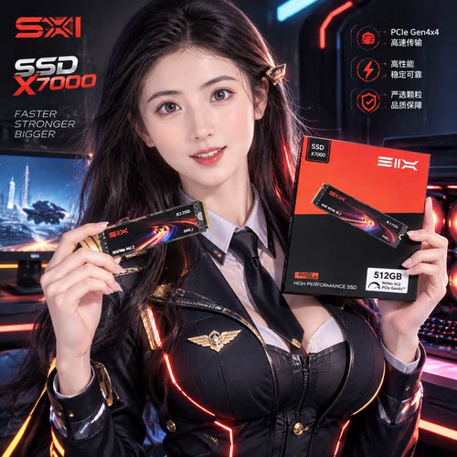 赛可驰 X4000 512G M.2 NVMe SSD 固态硬盘