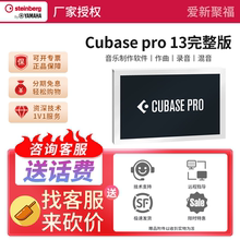 Steinberg/YAMAHA雅马哈Cubase pro13录音编曲专业修音软件商业版