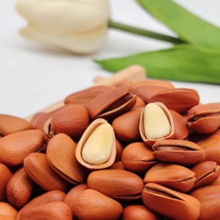 2024年新货大颗粒开口东北松子手剥松子王孕妇儿童坚果零食500克