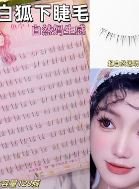 小白狐下睫毛分段式假睫毛自然化妆师新手仙气灵动大盒装自嫁接