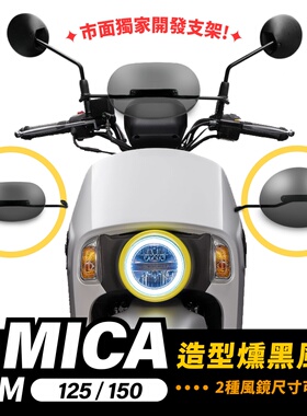 三阳 4mica 小蚂蚁 造型风镜 小风镜 台湾品牌 XILLA吉拉 改装