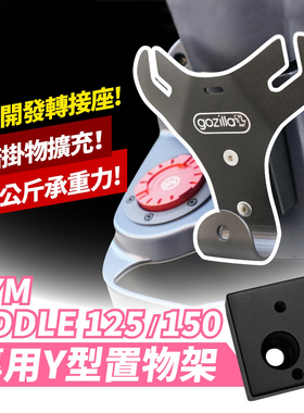 SYM 三阳 飞度 Fiddle 125 150 Y型置物架 台湾品牌 XILLA吉拉