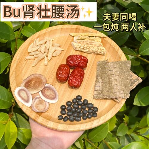 壮腰汤肾气不足阳益精血