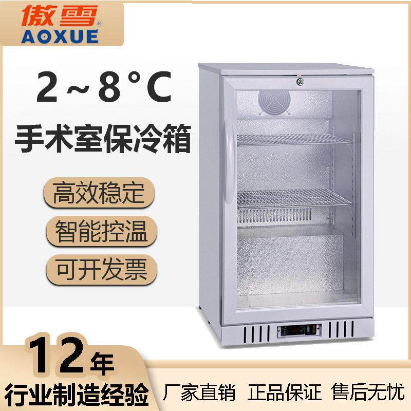 HWX-95手术室保冷箱2~8°C小型医用科研试验冰箱恒温设备厂家