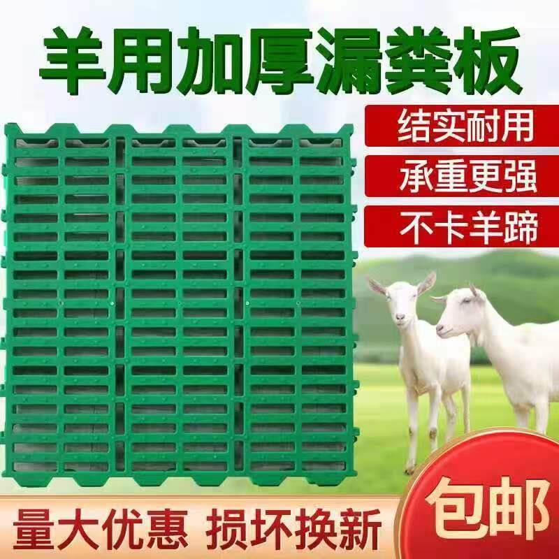 羊床漏粪板羊舍羔羊养殖羊用养殖板塑料羊养羊用地板接粪漏缝板