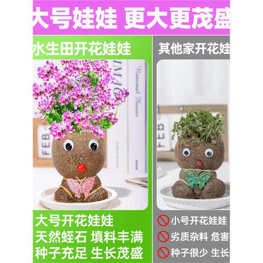 开花娃娃长草头发种儿童
