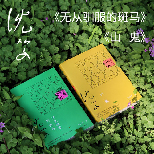 无从驯服的斑马 山鬼 沈从文 从文自传 边城