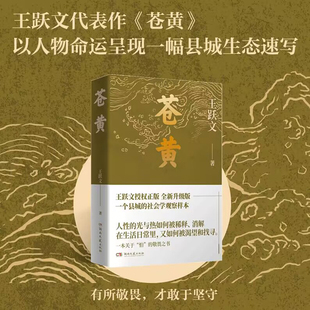 苍黄-平装/内外双封-烫金-32开--字数393千字-王跃文授权正版 全新升级版