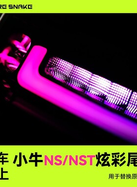 火蛇小牛NS/NST炫彩变色炫彩可调新款尾灯改装配件原车直上同源