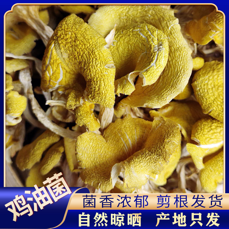 鸡油菌干货黄金菇榆黄菇