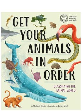 【现货】让你的动物井然有序：分类动物世界 Get Your Animals in Order: Classifying the Animal World 原版英文儿童绘本