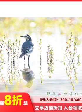 【现货】追寻野鸟之美 野鳥美を求めて 进口日文原版 熊谷 勝 动物摄影集