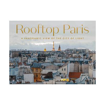 巴黎屋顶光之城全景摄影