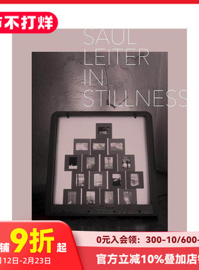 【现货】Saul Leiter: In Stillness，索尔·雷特摄影集：在寂静中日文原版 日文摄影作品集 日本正版进口书籍 善本图书