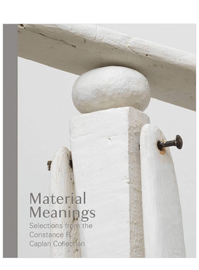 【现货】Material Meanings 材料意义 Constance R. Caplan 英文原版图书籍进口正版