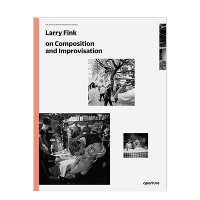 【现货】拉里芬克论摄影的组合与即兴 Larry Fink on Composition and Improvisation: The Photography Workshop Series