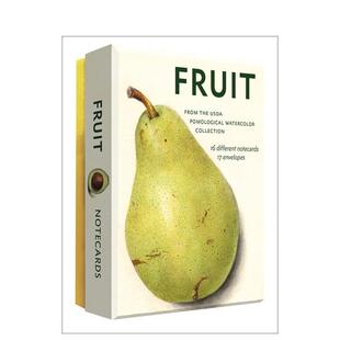 预售 明信片 果实图鉴：阿贝维尔明信片套装 原版 善本图书 Fruit