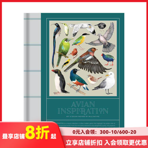 鸟类灵感：自然艺术插画 Avi