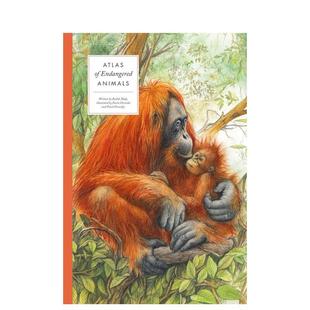 Large 濒危动物图集 Encyclopedias Atlas Endanger 预售