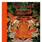 现货 每日一首动物诗歌 Tiger Burning Bright 英文原版 儿童艺术绘本