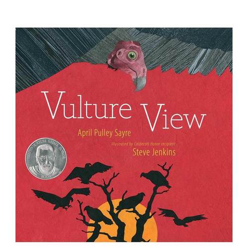 秃鹫的视角 Vulture V
