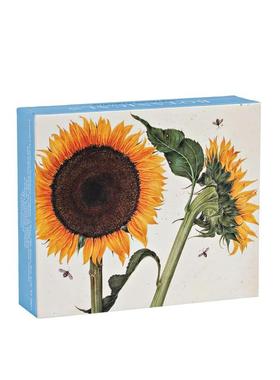 【预售】植物速记 磁吸扣盖信笺盒套装 Botanicals QuickNotes 原版明信片