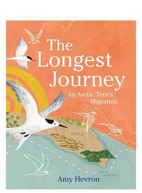 【现货】* 漫长的旅程：北极燕鸥的迁徙 The Longest Journey：an arctic Tern‘s Migration 原版英文儿童绘本