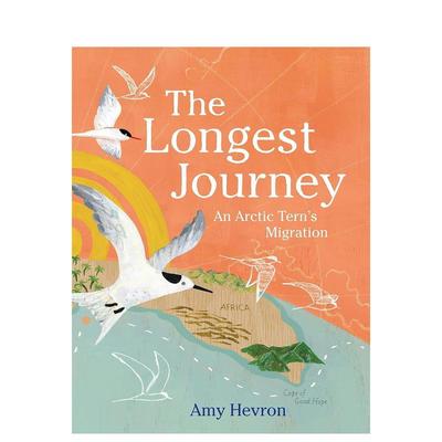 【现货】* 漫长的旅程：北极燕鸥的迁徙 The Longest Journey：an arctic Tern‘s Migration 原版英文儿童绘本
