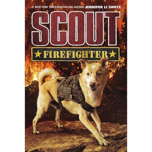Firefighter 童子军 Shotz 现货 儿童分阶阅读 图书籍进口正版 Scout 英文原版 消防员
