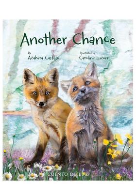 【现货】另一次机会 Another Chance 原版英文儿童绘本