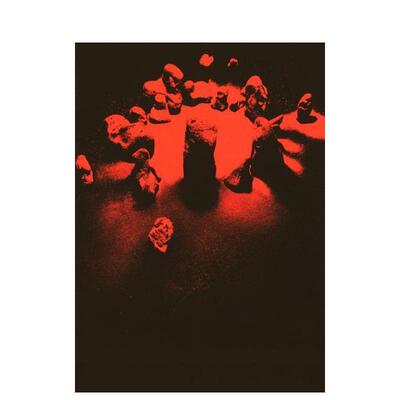 【预售】柏林艺术家Alexandra Leykauf Alexandra Leykauf - Alexandra Leykauf 原版英文艺术画册画集