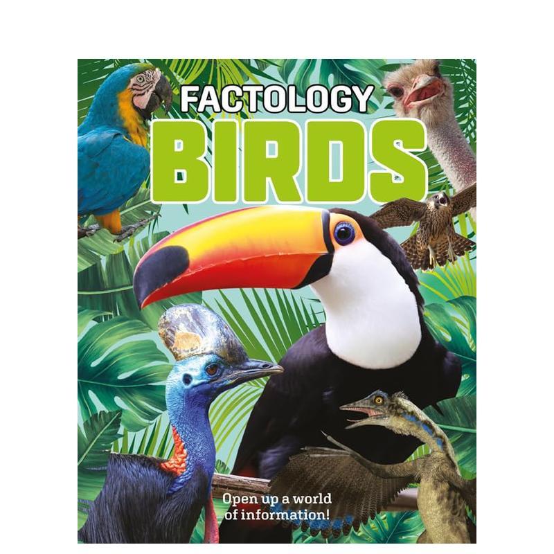 【事实学派】鸟类 Factol