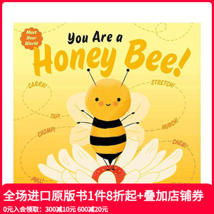 Honey 善本图书 你是一只蜜蜂 英文儿童绘本 原版 Bee Are You 现货