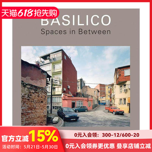 加布里埃尔&middot;巴西利科：中间地带