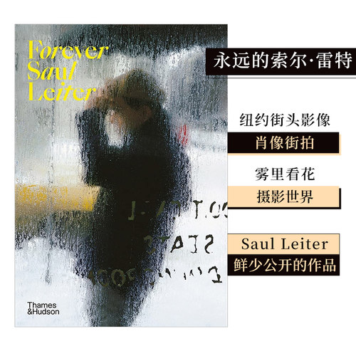 永远的索尔·雷特纽约街头影像