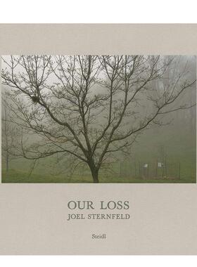 【现货】乔·斯坦菲尔德：我们的损失 JOEL STERNFELD: OUR LOSS 原版英文摄影作品集