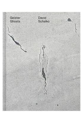 【预售】大卫·沙尔科：幽灵 David Schalko: Ghosts 原版英文摄影作品集