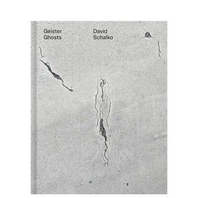 【预售】大卫·沙尔科：幽灵 David Schalko: Ghosts 原版英文摄影作品集
