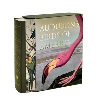Baby 原版 英文插画原画设定集 预售 Elephant 善本图书 美洲鸟 奥杜邦 America Folio Birds Audubon