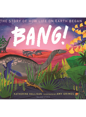 【现货】【Amy Grimes绘画作品】宇宙大爆炸：地球生命起源 BANG!  5-8岁少儿自然科普知识百科启蒙故事绘本 英文原版 善本图书