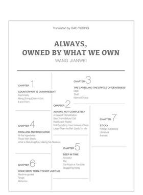 【现货】【中国文化视角】汪建伟：我们总是被拥有的东西所拥有 Always  Owned by What We Own 原版英文艺术画册画集