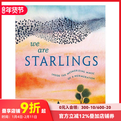 【现货】【墨尔本插画师Marc Martin】椋鸟群 We Are Starlings 进口原版英文儿童绘本 善本图书