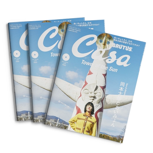 【订阅】 Casa BRUTUS(カーサブルータス) 建筑生活设计杂志 日本日文原版  年订12期 B012 善本图书