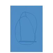 Fabienne Lasserre chien Entre 法比安·拉塞尔：暮色时分 loup 预售 原版 英文艺术画册画集