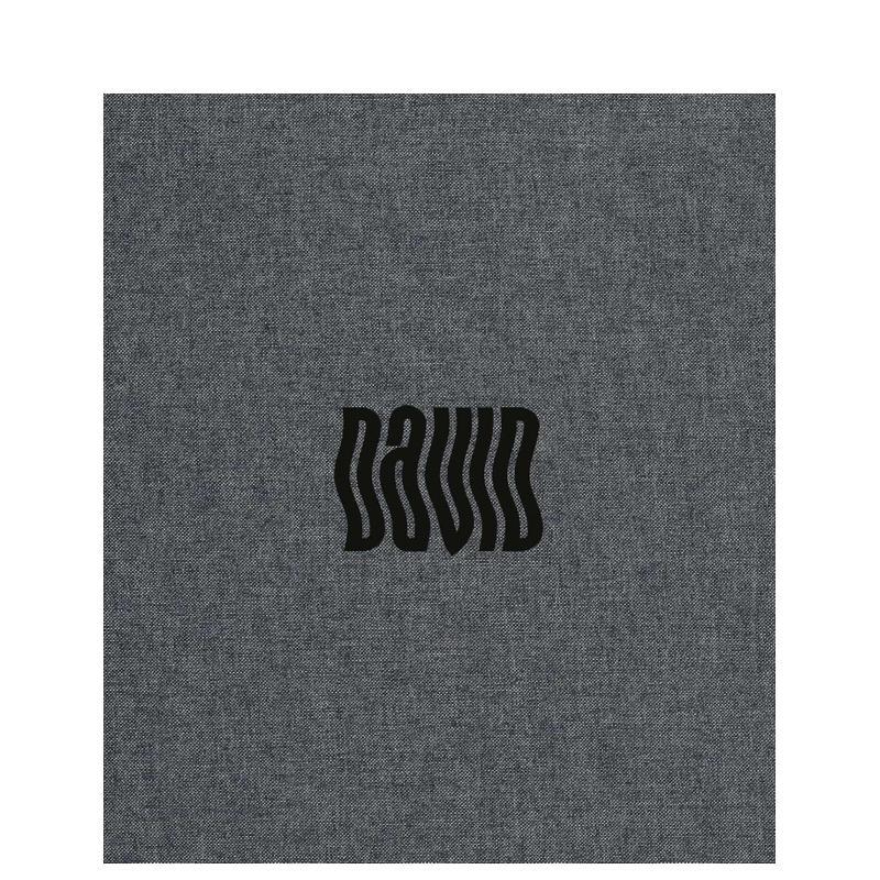 丹尼斯·奥里根镜头下的大卫·鲍